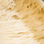 How does fumaric acid extend shelf life?